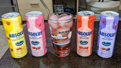 Canned Cocktail of the Week: Absolut + Ocean Spray simply makes too much dang sense