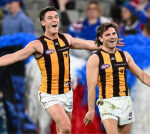 Hawthorn win removal last with dissentious home ground benefit: ‘Not reasonable’