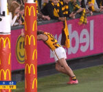 Nick Watson cramps throughout events after Hawthorn’s removal last win over Western Bulldogs