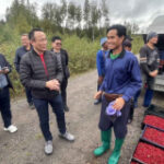 Labour Ministry gosto berry pickers in Sweden