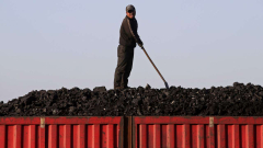 Headcount in top PSUs decrease in FY24, Coal India clocks the mostsignificant drop