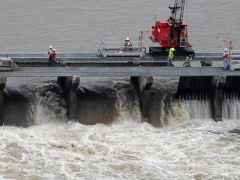 Judge dismisses suit lookingfor to safeguard dolphins along the Mississippi Gulf Coast