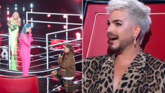 The Voice Australia coaches shocked by on-stage proposition