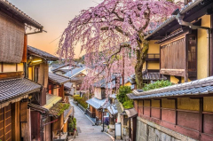 Here Is The Best Time To Visit Japan—According To Experts