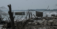 Coastal neighborhoods face ‘catastrophic flooding’ from increasing sea levels