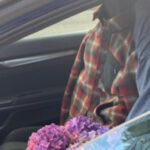 Look: Driver in HOV lane captured utilizing plaid t-shirt as ‘passenger’