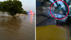 Wollongong female shares dreadful close call in flood waters