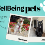 2024 WellBeing PETS Winners