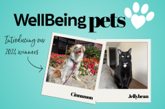 2024 WellBeing PETS Winners