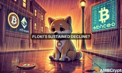 Will FLOKI decrease additional? Why the memecoin can drop to…