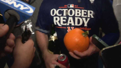 The Mets’ playoff pumpkin is their brand-new postseason excellent luck beauty