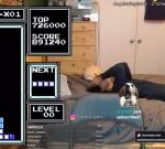 Teenager endsupbeing veryfirst Tetris gamer to loop back around to starting, accomplishing record rating