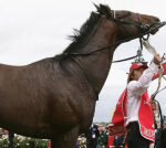 Heartbreaking news verified as ‘cherished’ Melbourne Cup winner Delta Blues passesaway