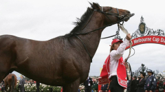 Heartbreaking news verified as ‘cherished’ Melbourne Cup winner Delta Blues passesaway