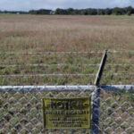 Contaminated waste from Florida’s fertilizer market is in the course of Milton’s fury