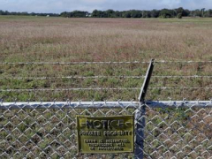 Contaminated waste from Florida’s fertilizer market is in the course of Milton’s fury