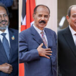 Somalia, Eritrea and Egypt promise to boost security ties