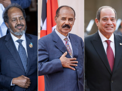 Somalia, Eritrea and Egypt promise to boost security ties