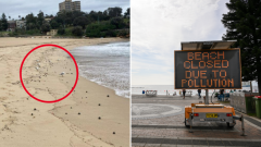 Coogee Beach, Maroubra Beach, Clovelly Beach and Gordons Bay in Sydney’s east closed due to contamination