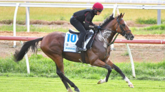 Melbourne Cup preferred Jan Brueghel ruled out after stoppingworking veterinary assessment