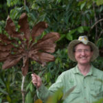 $250k reward granted in honor of ‘father of biodiversity’ Thomas Lovejoy