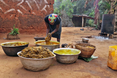 Smallholders deal blended responses to calls for hold-up in EU logging law