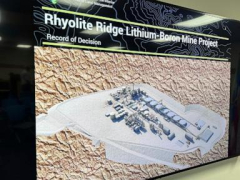 Nevada lithium mine will crush unusual plant environment UnitedStates stated is important to its survival, claim states