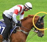 Melbourne Cup champ Chris Waller puts ear muffs on competitor Land Legend