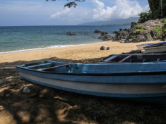 At least 25 eliminated after traffickers capsize boat off Comoros: IOM