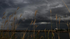 Extreme thunderstorm caution for Queensland Scenic Rim