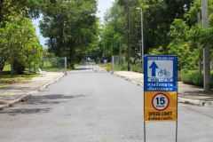 Walk-cycle lanes to lower blockage