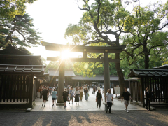 Japanese authorities arrest UnitedStates male for presumably scratching letters into shrine