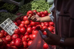 Researchers customize tomatoes to make them ‘significantly sweeter’