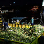 500,000 krathong drifts gathered in Bangkok waterways