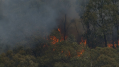 Home lost, individuals informed to getaway Great Ocean Road towns as bushfires burn out of control in Victoria