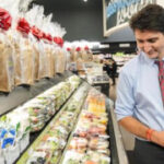 Trudeau to cut sales tax and sendout checks to millions of Canadians as election looms