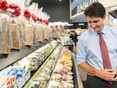 Trudeau to cut sales tax and sendout checks to millions of Canadians as election looms