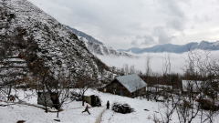 Watch | Dal Lake freezes as cold wave grips Kashmir valley