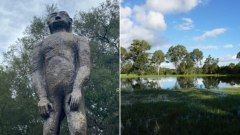 Australia’s ‘Bigfoot’ watched over the small town of Kilcoy for decades. Then one day, it disappeared