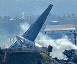 South Korea’s worst-ever plane crash highlights dangers of bird strikes