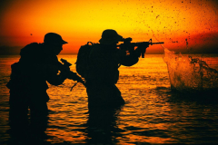 ‘In Waves And War’: A Film About Navy SEALS, PTSD, Addiction And Psychedelics