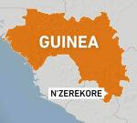 Lots feared dead after stampede breaks out at Guinea football match