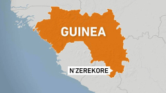 Lots feared dead after stampede breaks out at Guinea football match