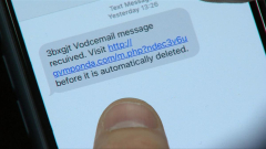 Federalgovernment crackdown on fraudsters as necessary SMS Sender ID register to be developed