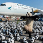 Hong Kong will show 2,500 panda sculptures to capitalize on a regional bear trend