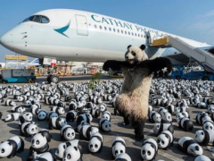 Hong Kong will show 2,500 panda sculptures to capitalize on a regional bear trend