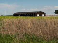 Feds authorize scaled-down Idaho wind farm near historical Japanese American imprisonment website