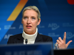 Germany’s reactionary AfD chooses chancellor prospect veryfirst time