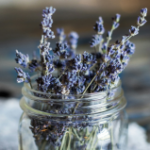 The lure of lavender