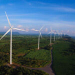 Clean power auction raises green spirits